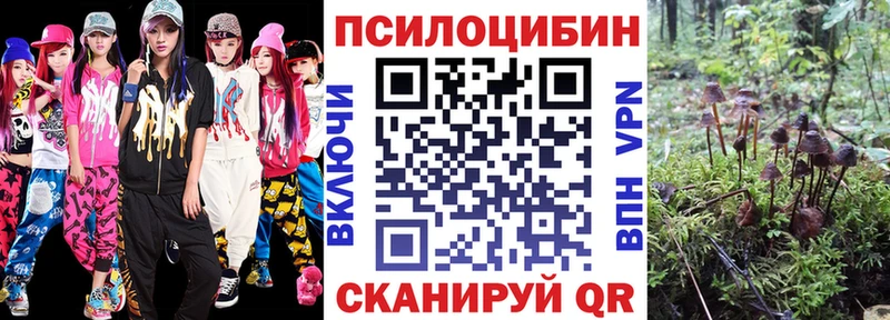 Псилоцибиновые грибы прущие грибы  Бокситогорск 
