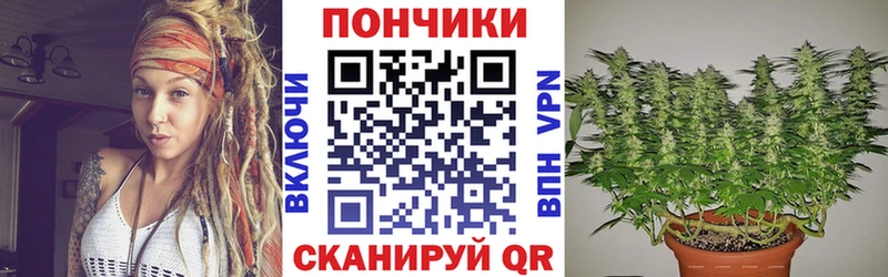 мориарти телеграм  купить наркотик  Бокситогорск  Бошки Шишки ГИДРОПОН 
